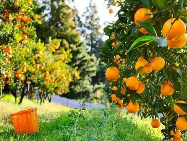 641 (3).png 641 (3).png