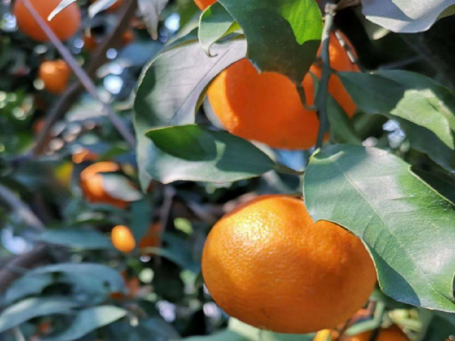 641 (5).png 641 (5).png