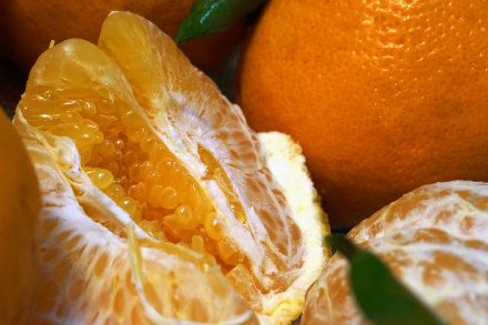 007rve4Ily1gbzaf90v70j358r3hwe83.jpg 007rve4Ily1gbzaf90v70j358r3hwe83.jpg