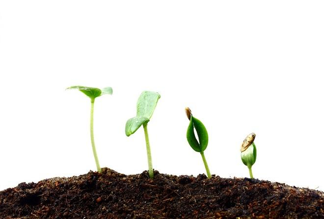 土壤.png 土壤.png